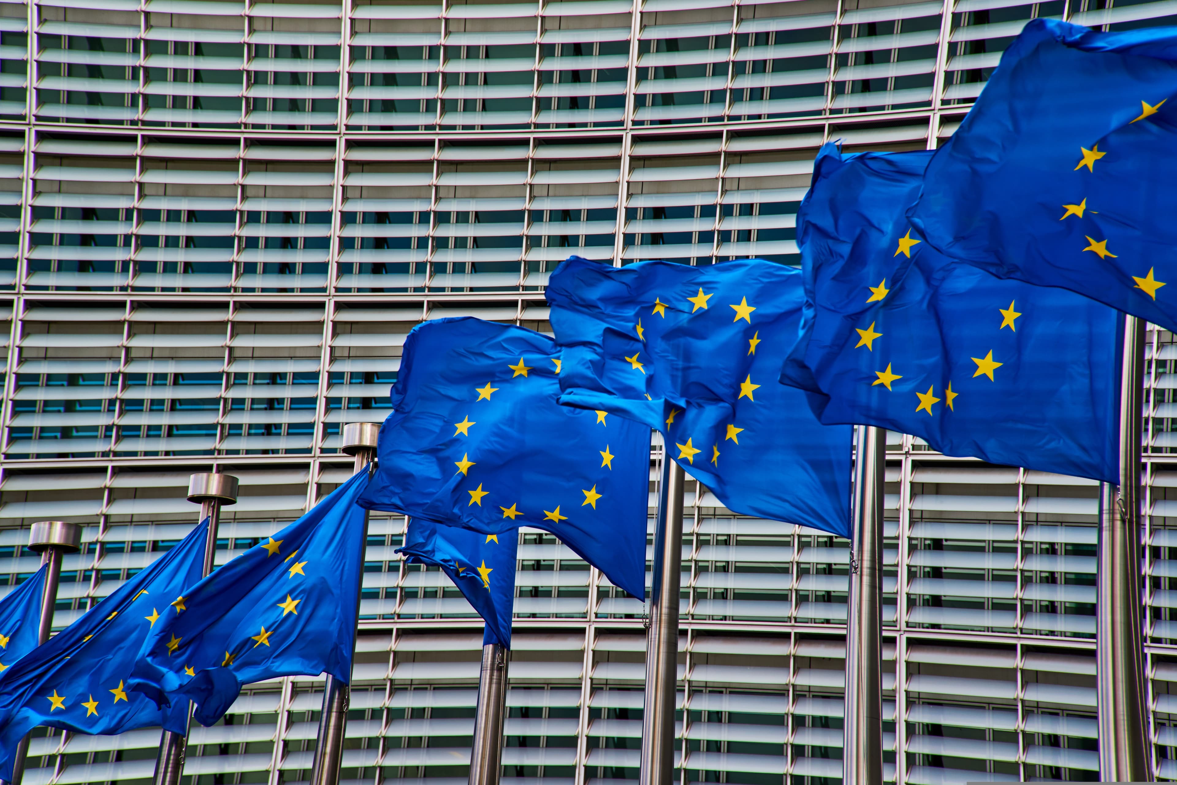 Flags of the European Union in Brussels