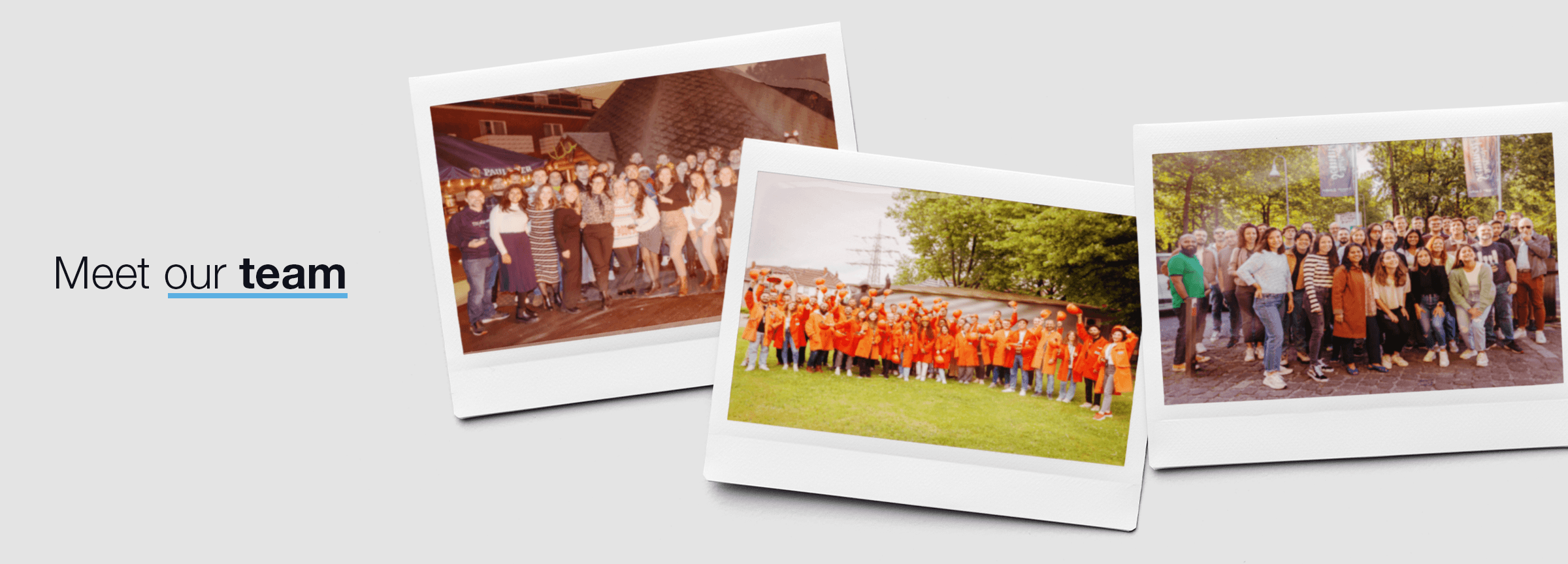 Meet our team - Metalshub